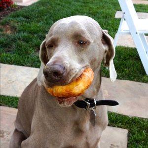 Meet your Posher, Jon